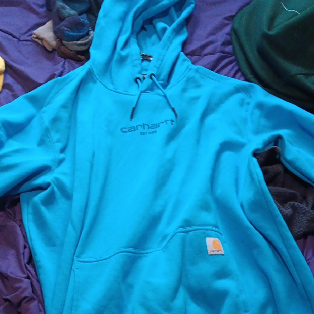 Carhartt Men's Blue Hoodie Sweater